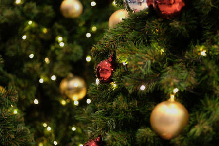Red and yellow ball on Christmas treeの写真素材