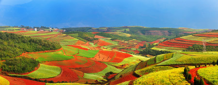 Yunnan red landの写真素材