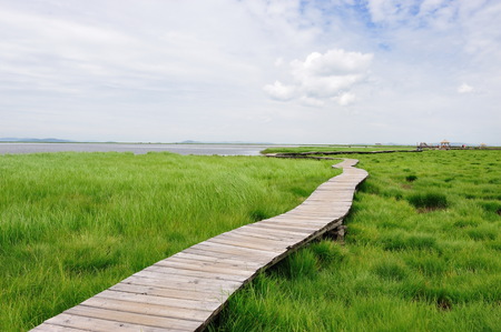 Nature landscape view of a grassland under the clear skyの写真素材