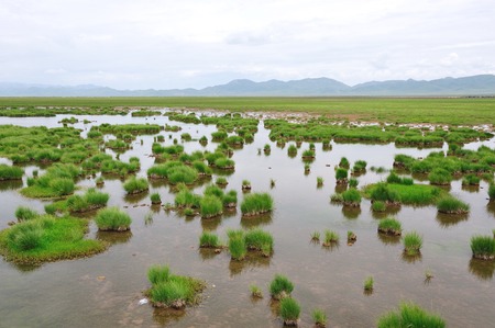 Flower Lakeの写真素材