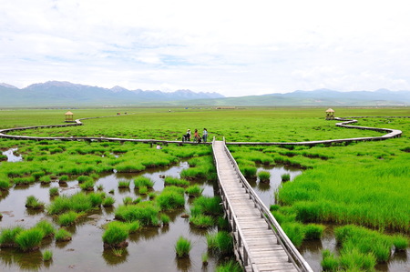 Nature landscape view of a grassland under the clear skyのeditorial素材