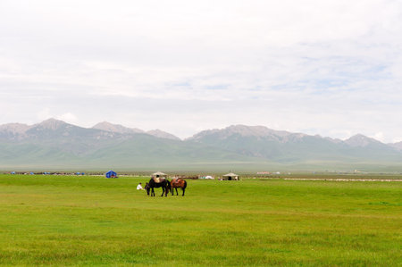 Ruoergai grasslandのeditorial素材