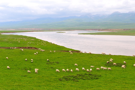 Maqu Grasslandの写真素材
