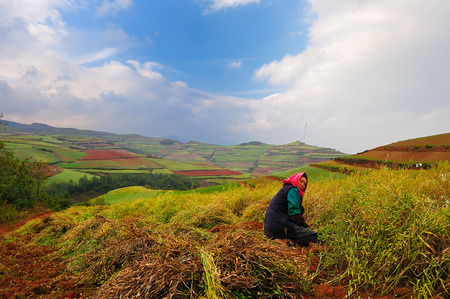 Dongchuan Yunnan red clay field sceneryのeditorial素材