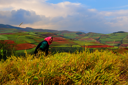 Dongchuan Yunnan red clay field sceneryのeditorial素材