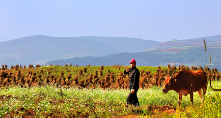 Dongchuan Yunnan red clayのeditorial素材
