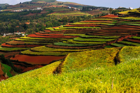 Dongchuan Yunnan red clay fieldの写真素材