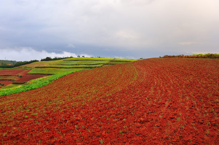 Dongchuan Yunnan red clayの写真素材