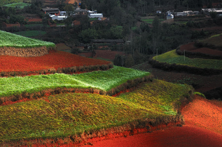 Dongchuan Yunnan red clay field sceneryの写真素材