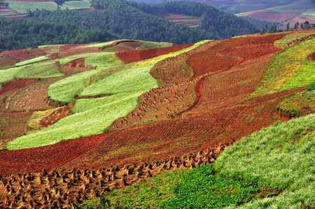 Dongchuan Yunnan red clay field sceneryの写真素材