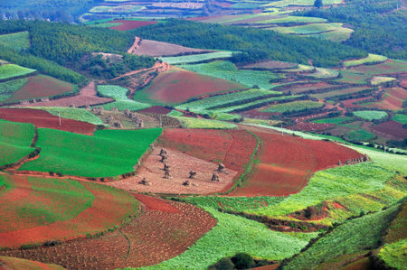 Dongchuan Yunnan red clay field scenery