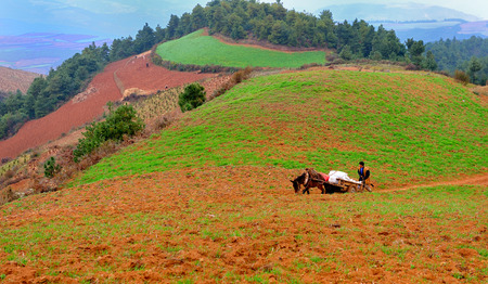 Dongchuan Yunnan red clay fieldのeditorial素材