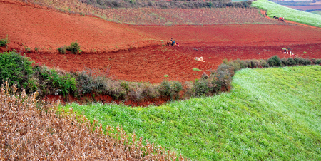 Dongchuan Yunnan red clay fieldの写真素材