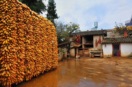 Chinese farmのeditorial素材