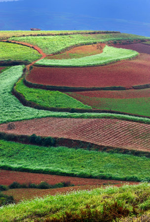 Dongchuan Yunnan red clay field scenery