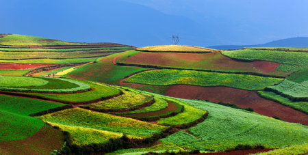 Dongchuan Yunnan red clay field scenery