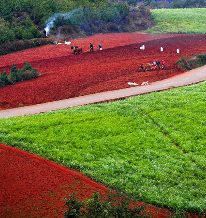 Dongchuan Yunnan red clay fieldのeditorial素材