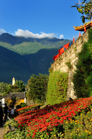 Daliのeditorial素材