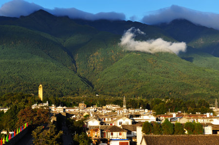 Daliのeditorial素材