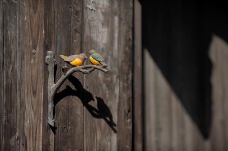 Wuzhen ancient town, wooden bird wall decorationの写真素材