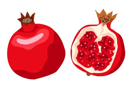 Whole and cut pomegranate icon set. Flat cartoon vector illustration. Good print for menu, poster, card, fabric or wallpaper.のイラスト素材