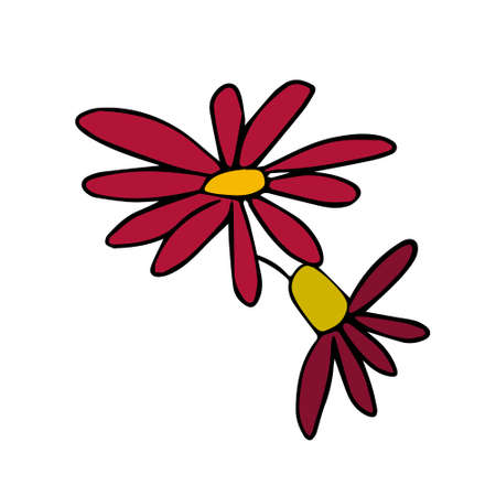 Hand drawn vector illustration of chamomile in primitive stile. Ink drawing monochrome artistic botanical illustration. Design for greeting cards and invitations of the wedding, birthday, mother's dayのイラスト素材