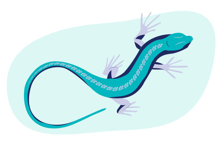 Blue lizard vector illustration. Reptile with long body and tail, four legs and blue skin. Design...