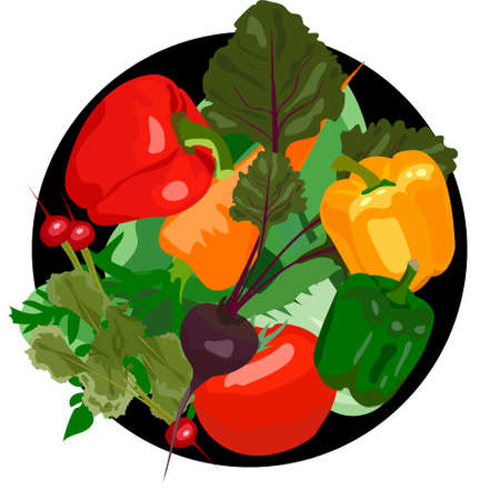 Fresh vegetables in circle, Beets, carrots, radishes, cauliflower, tomato, bell pepper. Card template for festive and season design posters, cards and banners. Vector illustration in flat style.のイラスト素材
