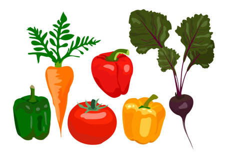 Vegetable set, organic ingredients. Tomato, beets, carrots, peppers on a white background. Can be used for menu labels, dishes, poster.のイラスト素材