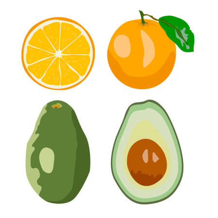 Fresh fruits vector collection. Set of sweet fruits orange, avocado for health.のイラスト素材
