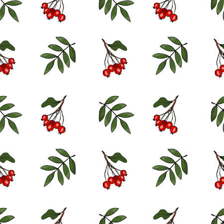 Vector seamless pattern with branches of rowan on gray background. Hand drawn repeated background for textile, wrapping paper, greeting card and invitation of seasonal fall holidaysのイラスト素材