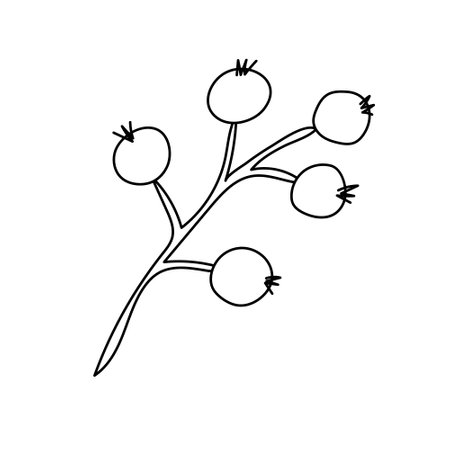 Christmas mistletoe or kisses branch. Xmas home decoration. Element New Year decor and comfort. Isolated vector object on a white background in doodle style.のイラスト素材