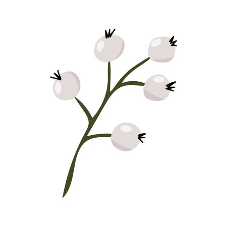 Christmas mistletoe or branch of kisses. Christmas decorations for the home. An element of New Year's decor and comfort. Isolated vector object on white background for decoration of holiday card, poster, website.のイラスト素材