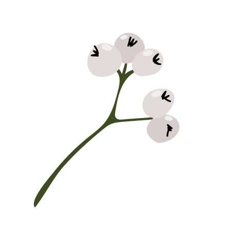 Christmas mistletoe or kisses branch. Xmas home decoration. Element New Year decor and comfort. Isolated vector object on a white background in doodle styleのイラスト素材