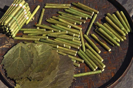 Myanmar, Inle Lake: cigars factoryの写真素材