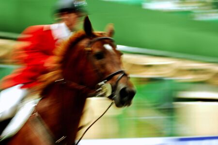 View of a jumping race horse and his rider during a competitionの写真素材