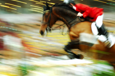 View of a jumping race horse and his rider during a competition