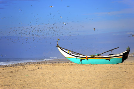  View of a traditional fishing boat at the beach in the north of Portugal