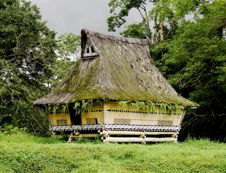 Traditional Batak house with the typical roof in Sumatra in the middle of a field の写真素材