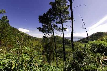 blue sky and green fields for this rural Landscape near Toba lake in Sumatra- Indonesiaの写真素材