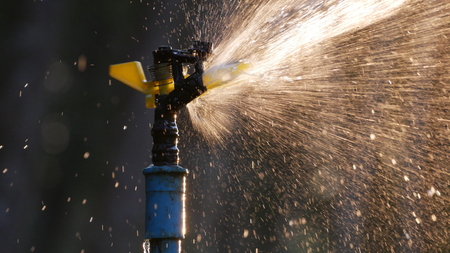 Watering springerの写真素材