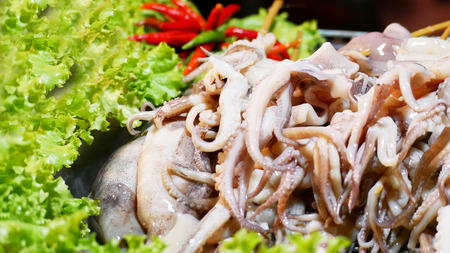 Fresh squidの写真素材