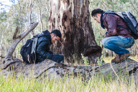 The men discover the tree