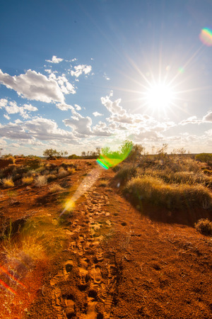 The desert with the sunの写真素材