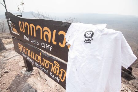 Haihostel in the forest, Khon Kaen, Thailandの写真素材