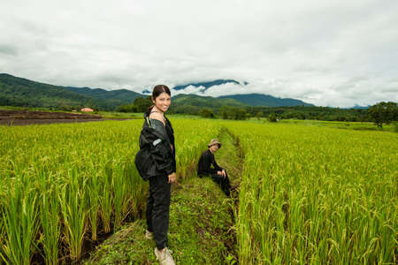 The couple in the rice field, Thailandの写真素材