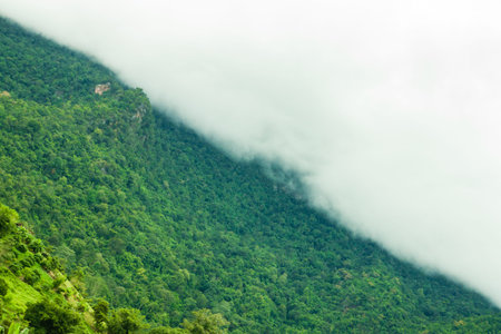 Misty view Chiang Dao, Chiang Mai, Thailand