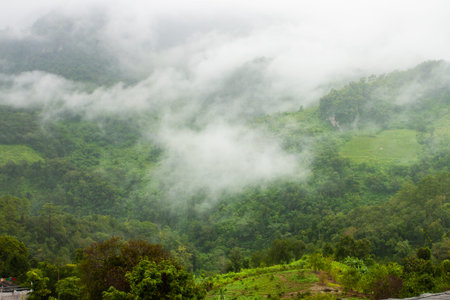 Misty view Chiang Dao, Chiang Mai, Thailand