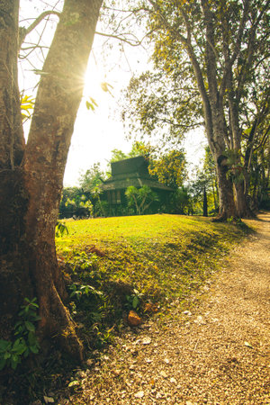 Thai girl sitting on the benchの写真素材