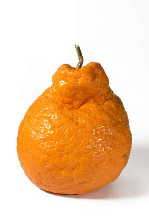 tangerineの写真素材